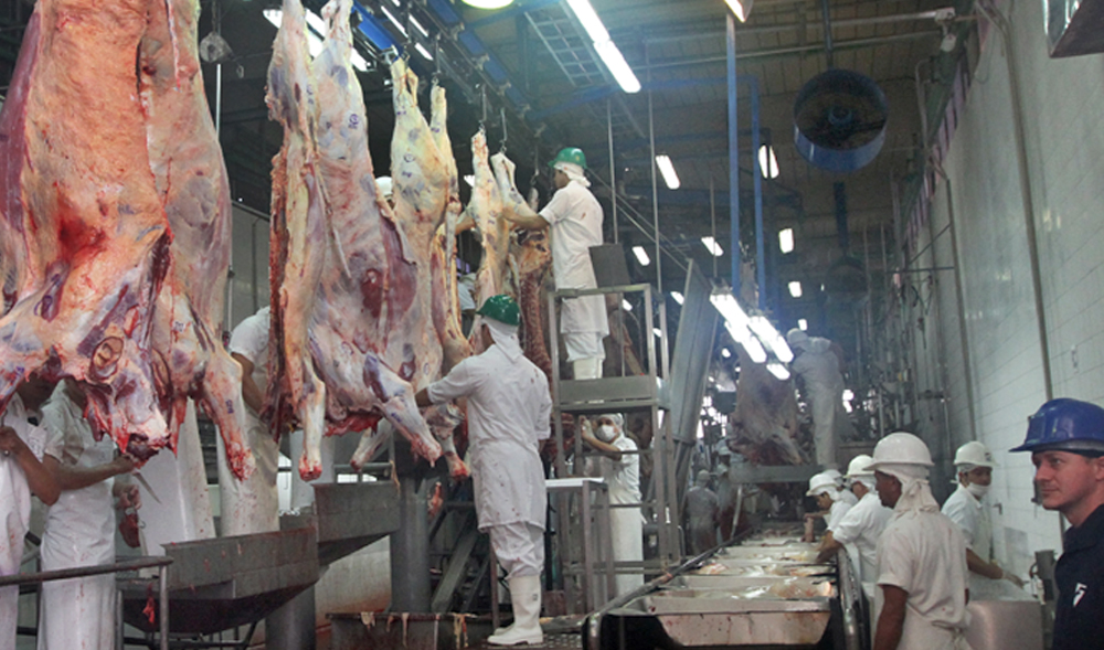 Exportaciones pecuarias alcanzan USD 920 millones al cierre de mayo, con crecimiento en sectores porcino y aviar